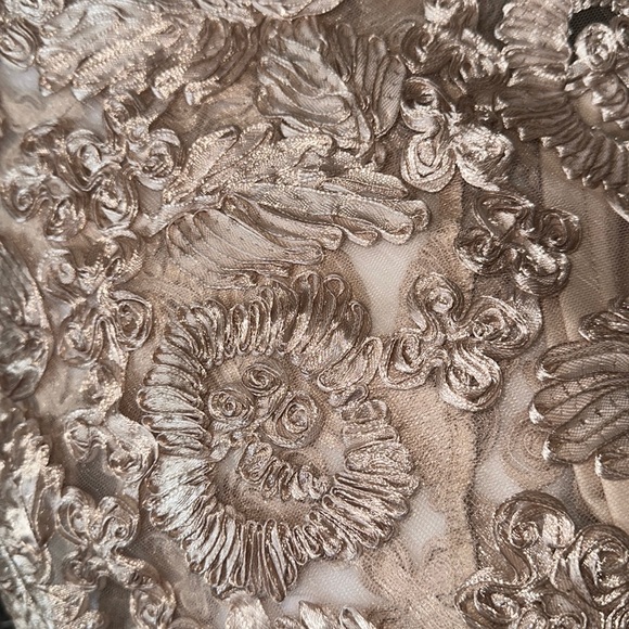 FASHION NOVA Floral Fresh Lace Set in Champagne Sz S High-Low Skirt & Crop Top - Picture 9 of 16